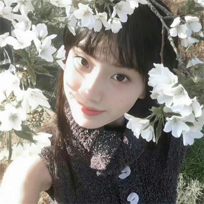 歌台艳帜